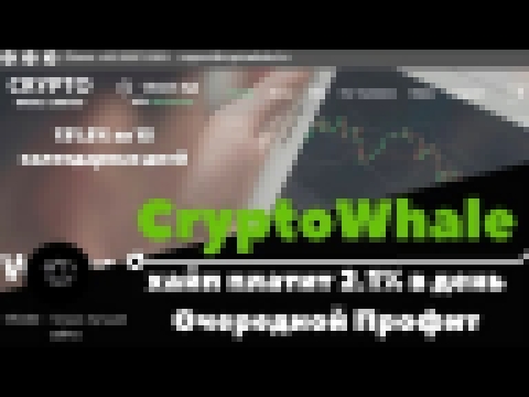 Cryptowhale хайп проект который платит 2,1% каждый день Профит на cryptowhale.biz 