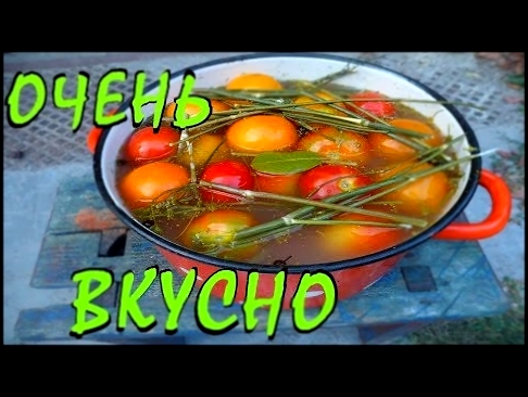 Маринованные помидоры /Малосольные помидоры/ Мочёные помидоры / Вкусная закуска 