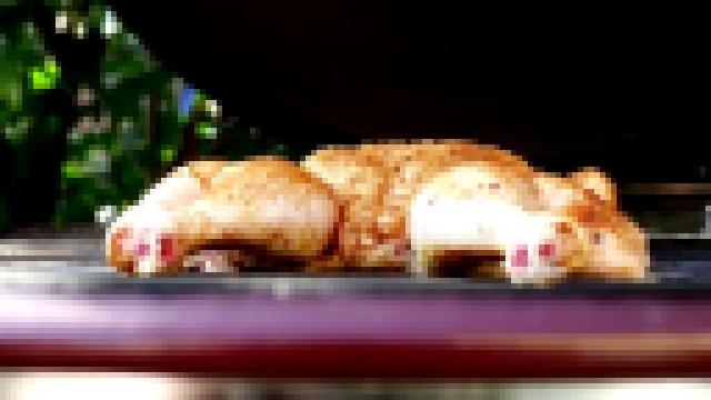 Готовим вкуснейшую шаурму из курицы на керамическом гриле Monolith Grill Le Chef XL 