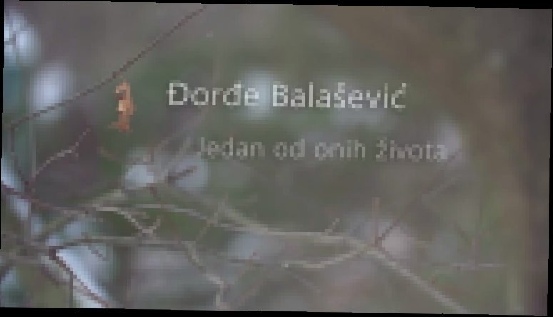 Видеоклип Đorđe Balašević - Nismo mi bili ljubavnici... _WMV V9