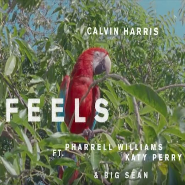 | CarMusicKz | Calvin Harris - Feels (feat. Pharrell Williams, Katy Perry & Big Sean) (DK) картинки